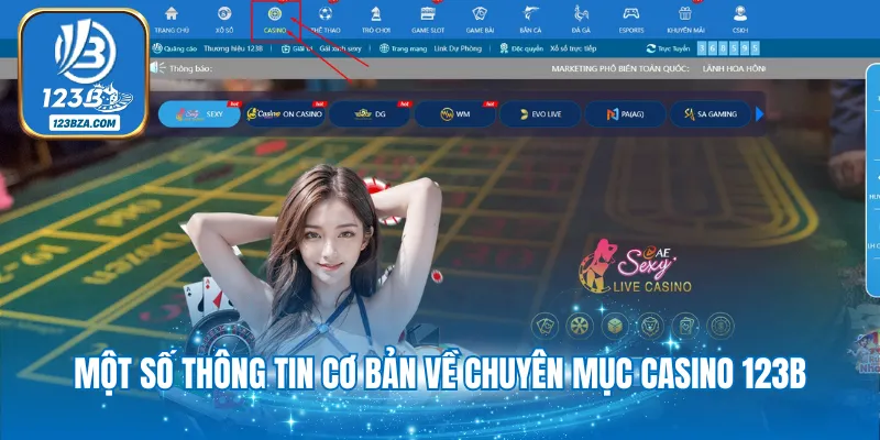 Một số thông tin cơ bản về chuyên mục casino 123B